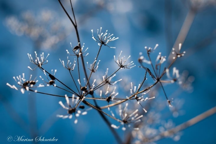 Winter 2012
