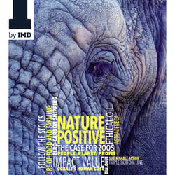 I by IMD Magazine