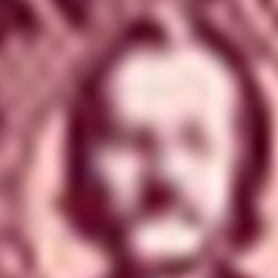 Etiketten Dr. Rubenbauers Bio-Holundersaft appliziert
