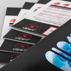 Agentur HALMA Leistungen Print: SFW