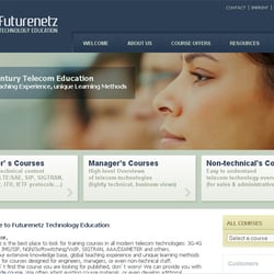 Designerstellung der Homepage und Logo redesign (www.futurenetz.com)