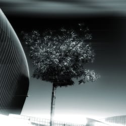 Lissabon Oriente_04