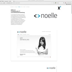 Erscheinungsbild | NOELLE IT