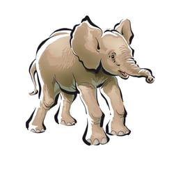 Elefant