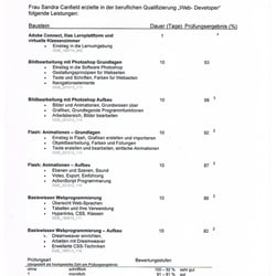 wbs2