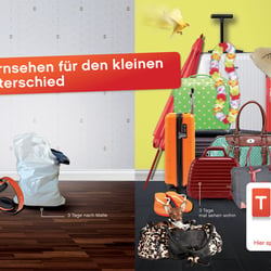 Projekt: Kampagnenidee, TLC • Agentur: ThinkNewGroup