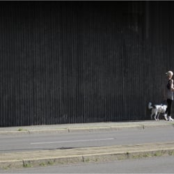 Frau mit Hund 4309k