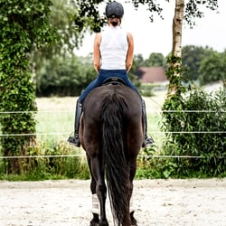 Trainingsbegleitung