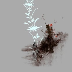 .GRAPHICS