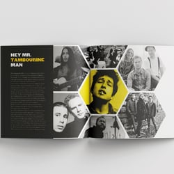 Bees of Belfast – Grafikdesign-Projekt