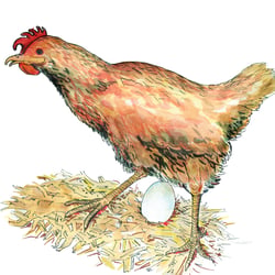 Huhn, aus „Fabelhafte Welt“