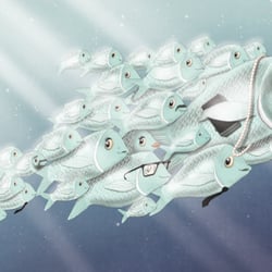 Fischschwarm