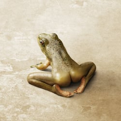 Froschschenkel