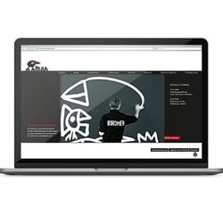 id – Künstler Birdman – Gestaltung der Website