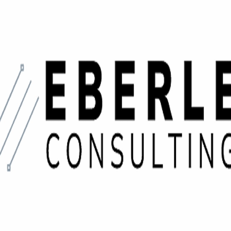 Eberle Consulting GmbH & Co. KG