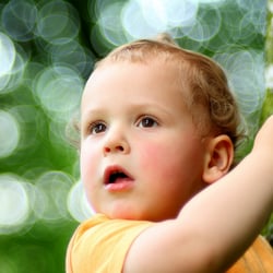 Crazy Bokeh