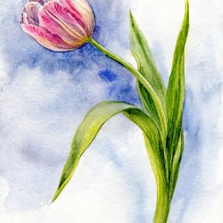 Rose – Aquarell