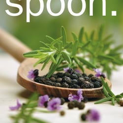 01 spoon 01.11