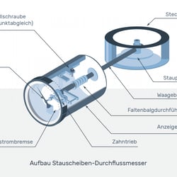 Weitere Bilder auf unserer Webseite