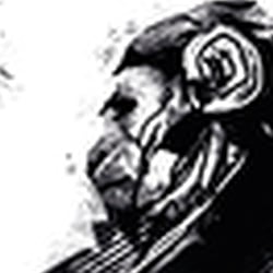 Gorilla (Sachbuch)