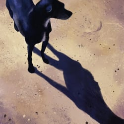 Shadow dog