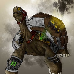 Illustration Schildkröte