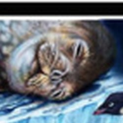 2. Tiere