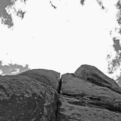 joshua tree park – californien