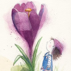 Tulpe