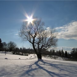 Winter am Götzenberg 2175k