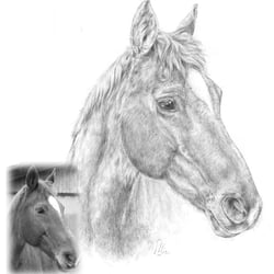 Graphit