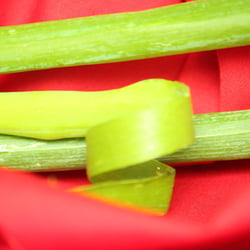 Food Photography 2012 Lauchzwiebel 02