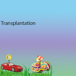 Transplntation