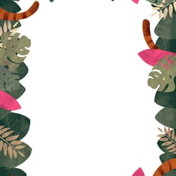 Safari 5