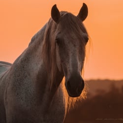 Sonnenuntergang