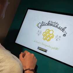 Illustration Bienenquiz