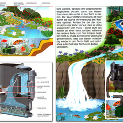 Illustrationen Thema Wasserfilterung im Teich / Bachlauf