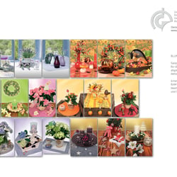 BLUME2000, Produktplakate InStore, Arrangement, Fotografie, Bildbearbeitung, Montage