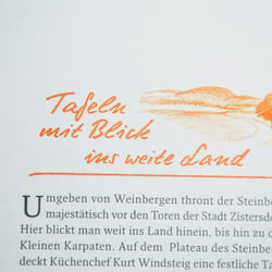 Weinviertel Tourismus, NOE – Corporate Design – Detail Illustration