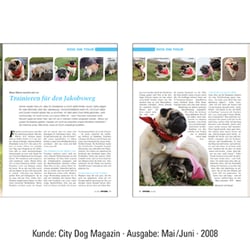 CityDog-7