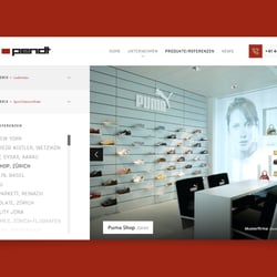 Corporate Website