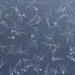 Ice Flowers