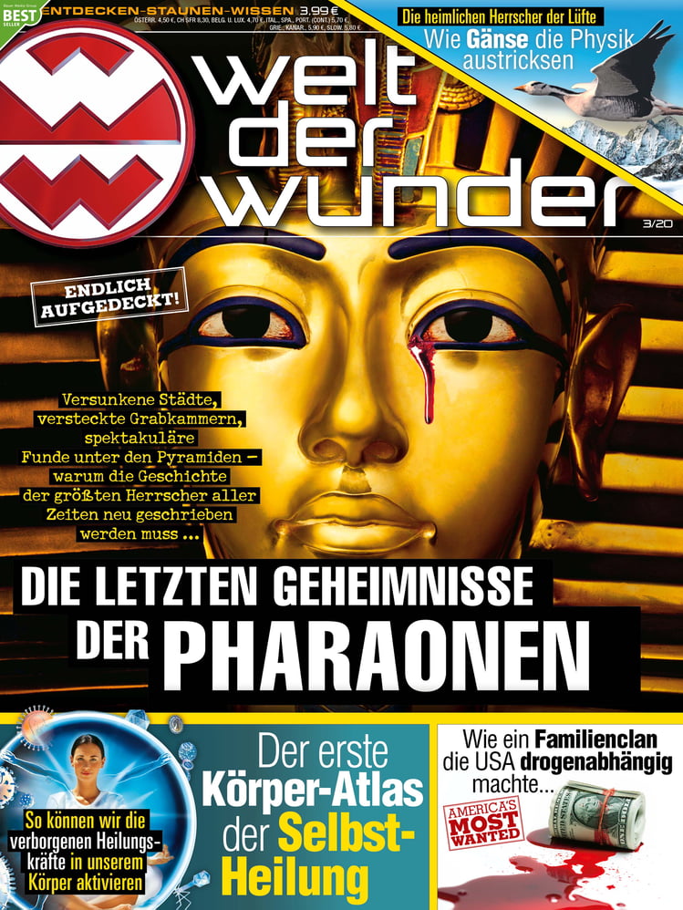 WDW Cover 03 2020/ Kreative Bildbearbeitung
