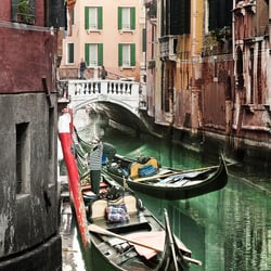 Venezia