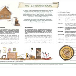 Holz – ein natürlicher Rohstoff