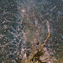 Fotografie; Eis1 – Serie  Nahaufnahme, eingefrorene Algen und  Wasserblasen , digital nachbearbeitet