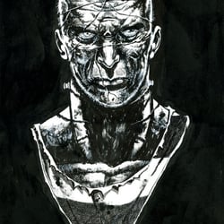Eine Eigeninterpretation von Frankensteins Monster