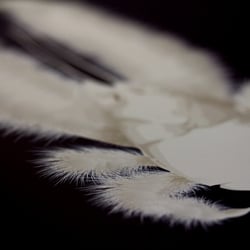 tief – faszinierende Einblicke in eine lichtlose Welt