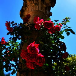 Alcazar Sevilla