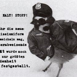 5 polizeivogel typo